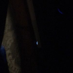 Meet your Posher, Joshua